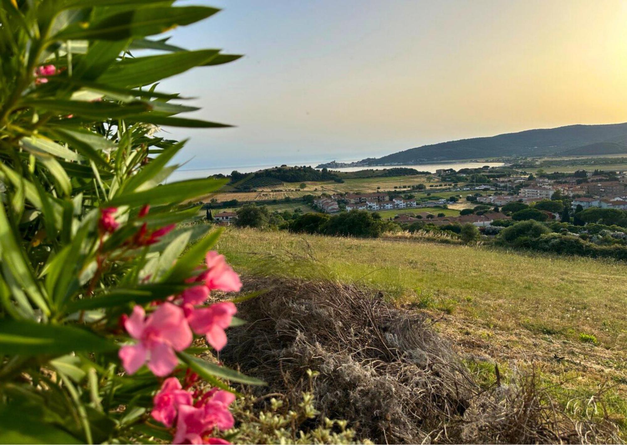 Agriturismo La Vista - Adults Only Фонтебланда Екстер'єр фото