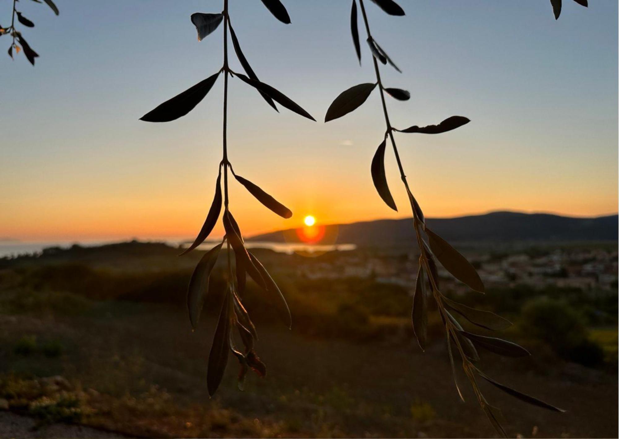 Agriturismo La Vista - Adults Only Фонтебланда Екстер'єр фото